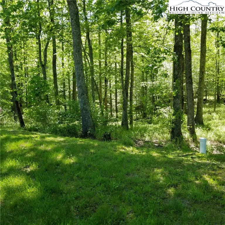 Image number 9 for the current listing