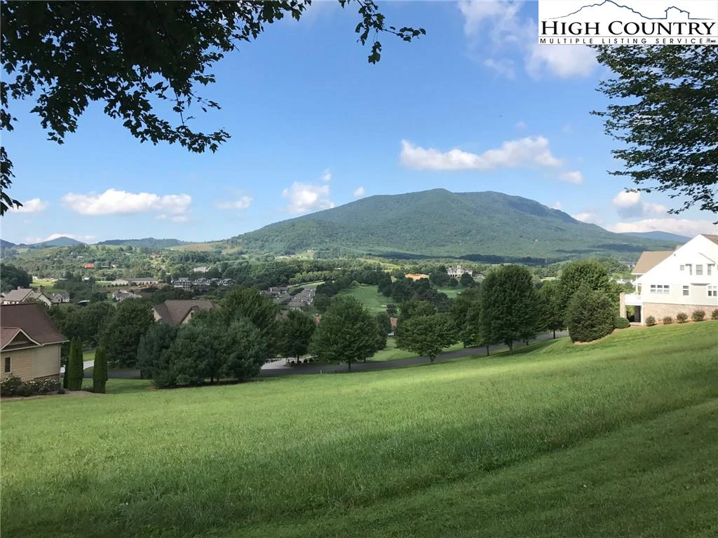 Image number 1 for the current listing