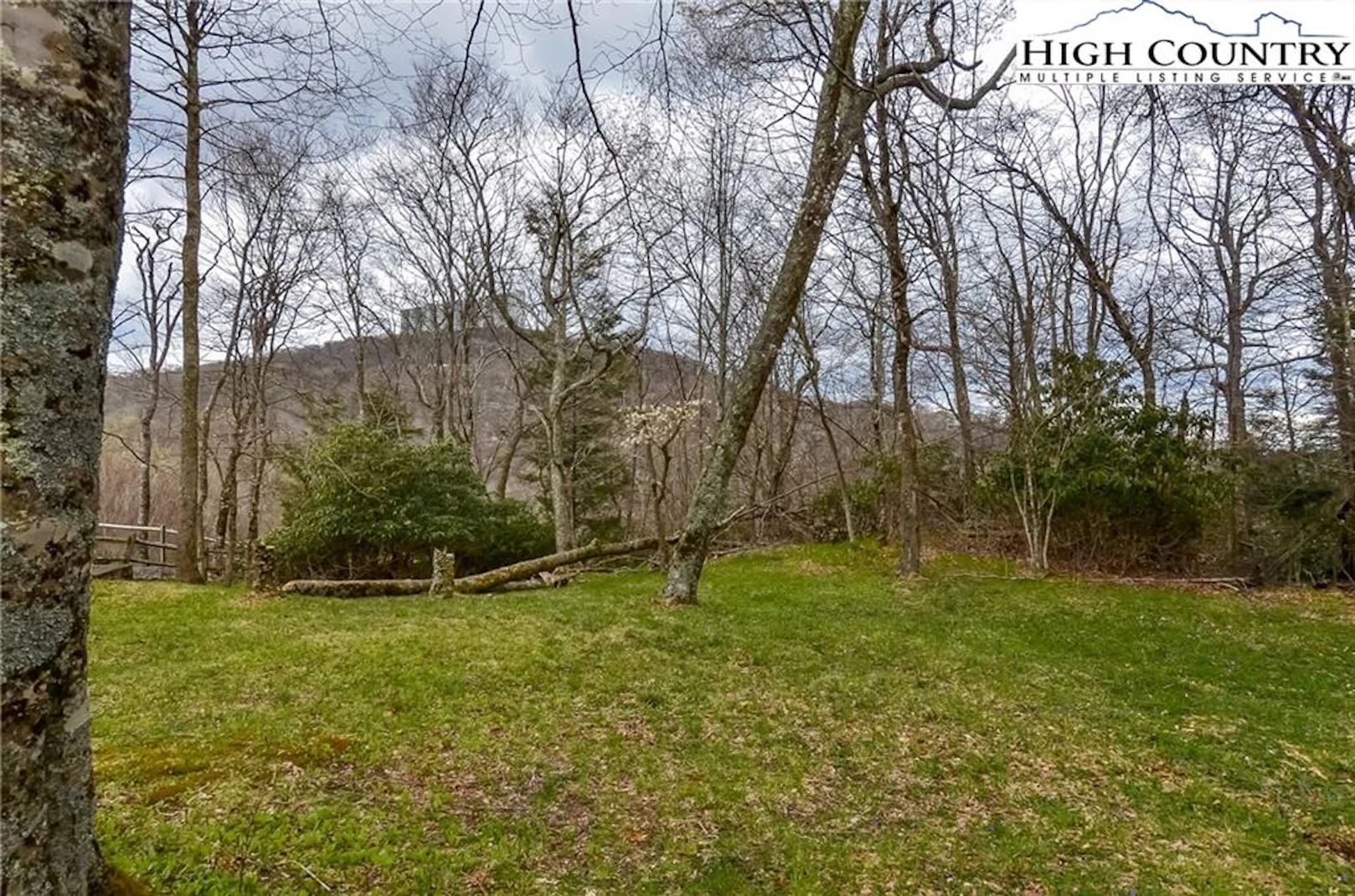 Image number 1 for the current listing