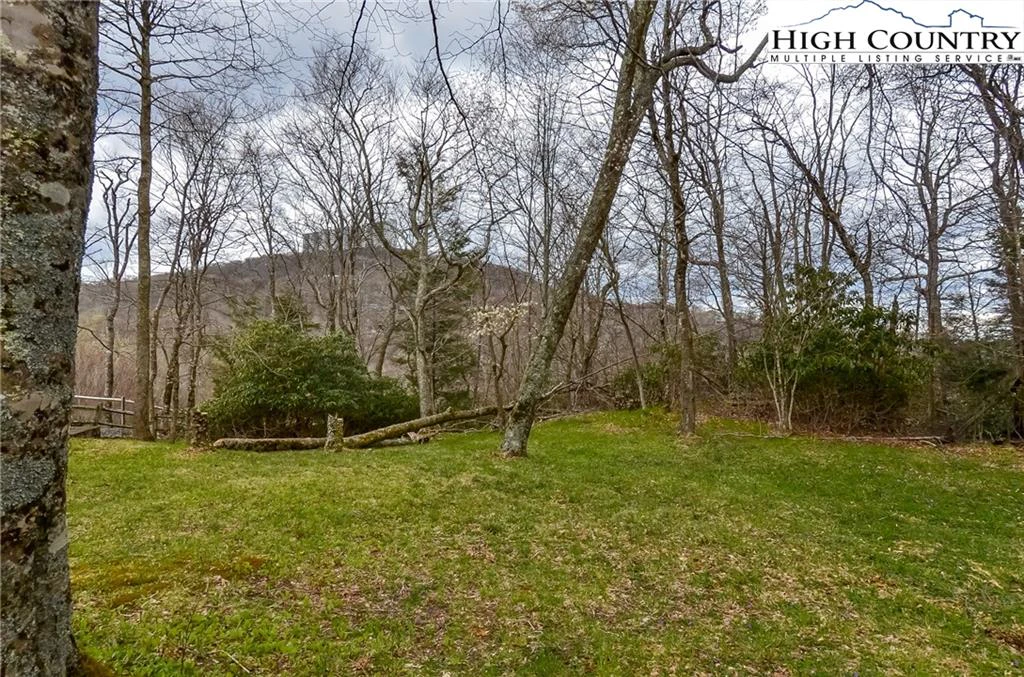 Image number 1 for the current listing