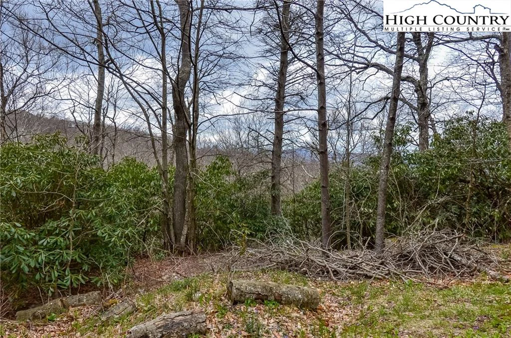 Image number 4 for the current listing