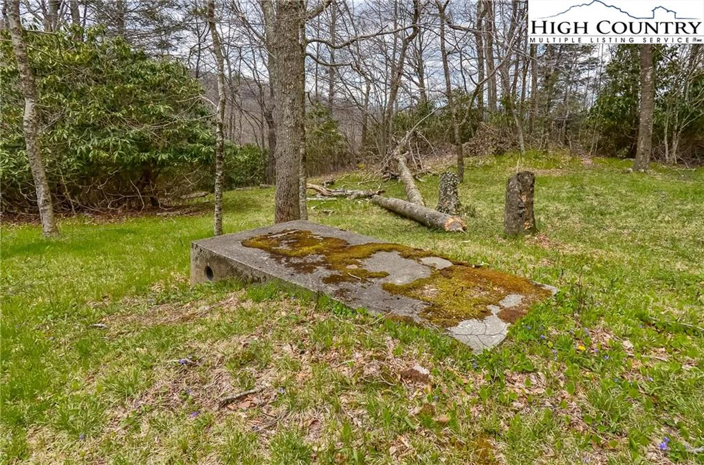 Image number 5 for the current listing