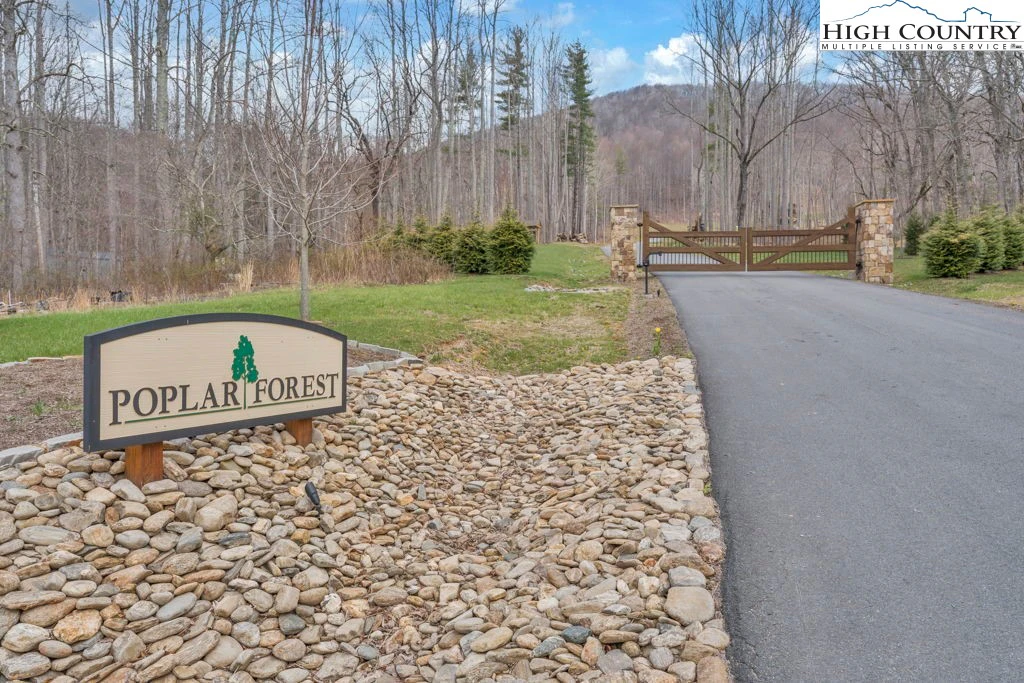 Image number 1 for the current listing