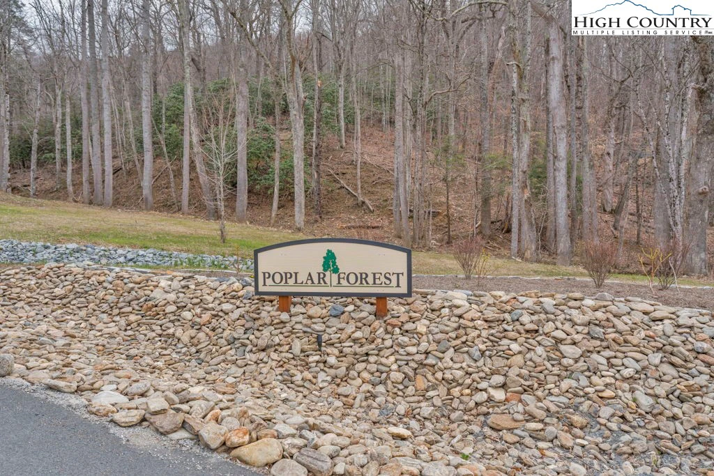 Image number 4 for the current listing