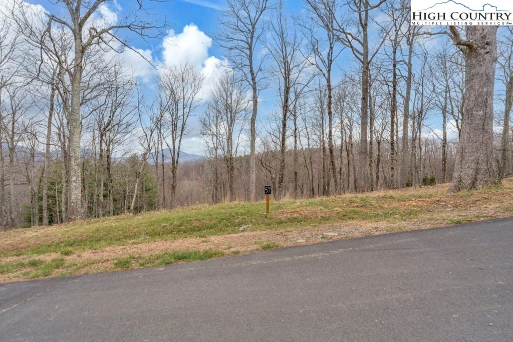 Image number 3 for the current listing
