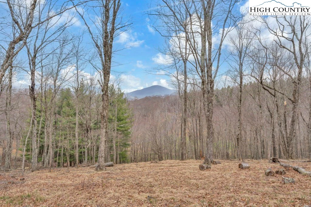 Image number 9 for the current listing
