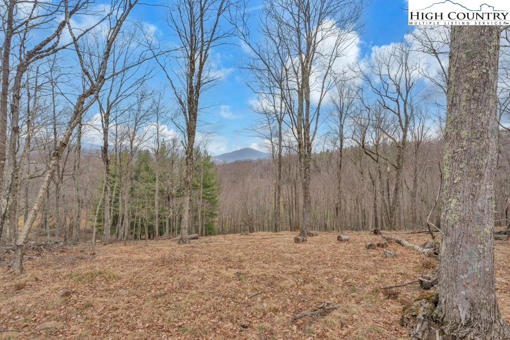 Image number 10 for the current listing