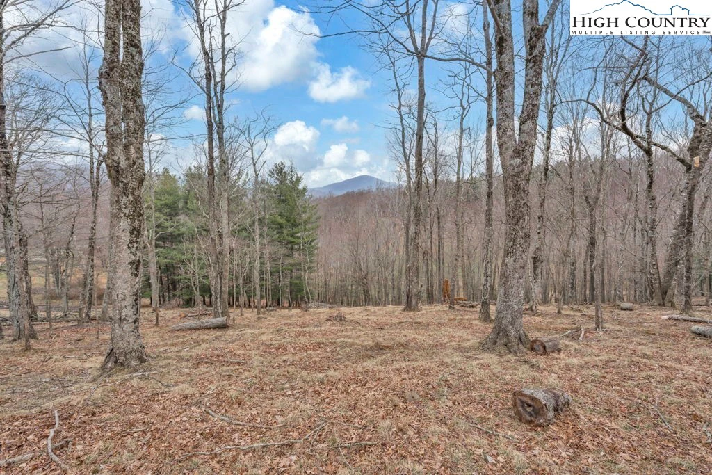 Image number 11 for the current listing