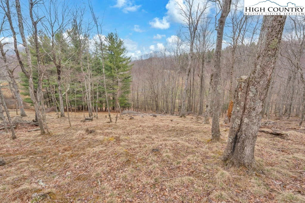 Image number 13 for the current listing