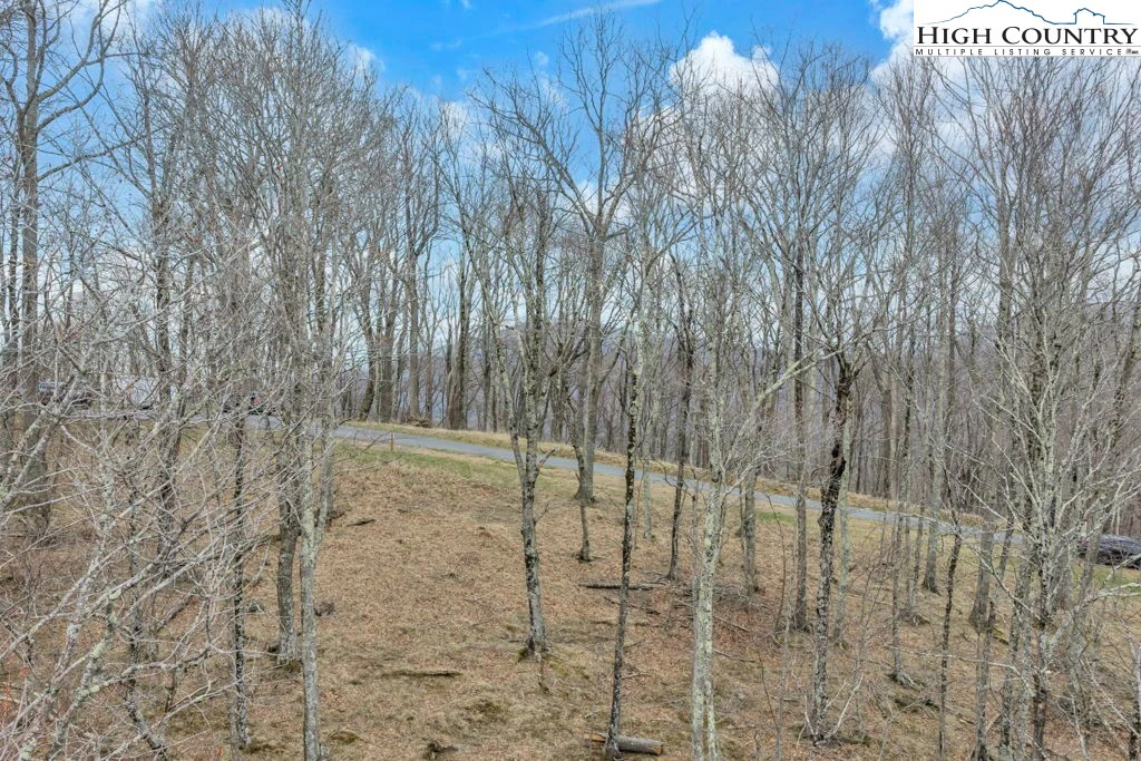 Image number 14 for the current listing