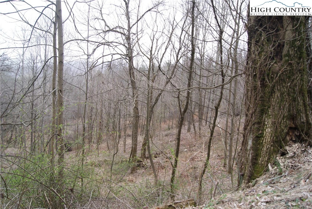 Image number 1 for the current listing