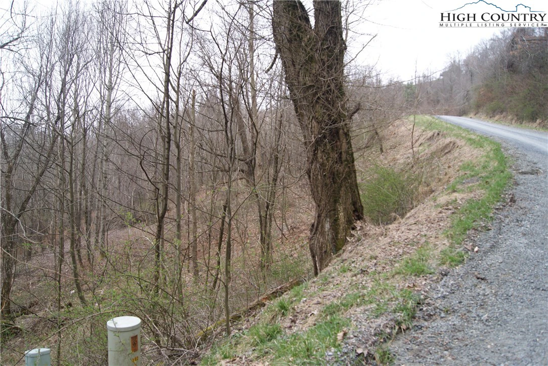 Image number 3 for the current listing