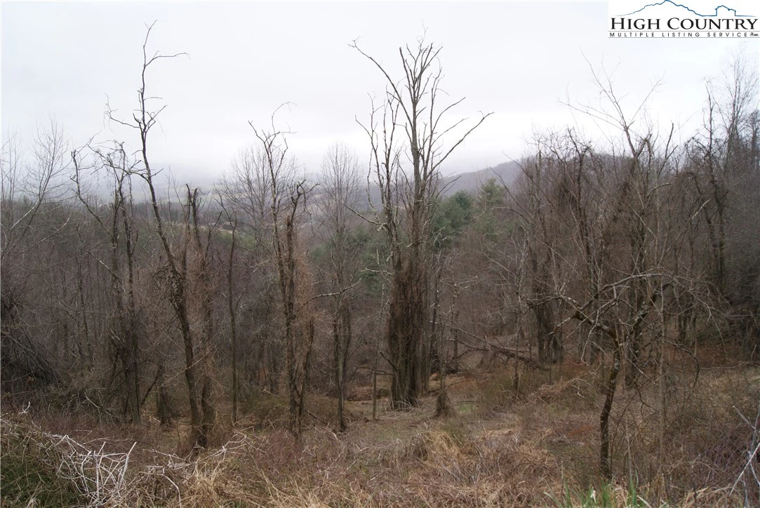Image number 4 for the current listing
