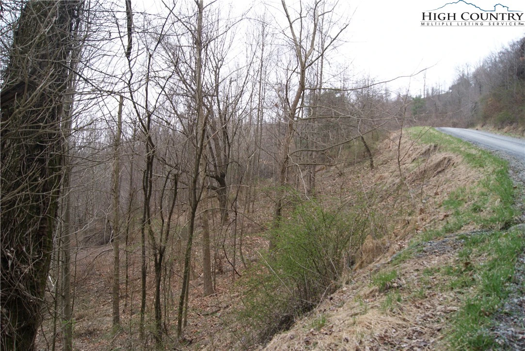 Image number 5 for the current listing