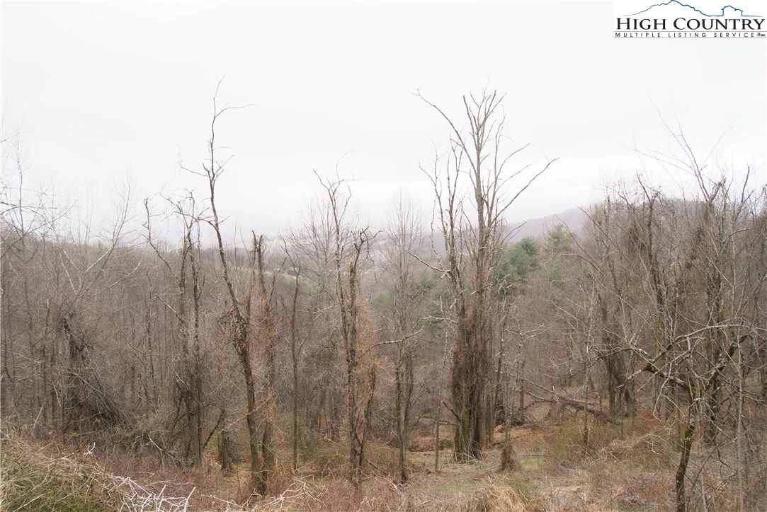 Image number 6 for the current listing