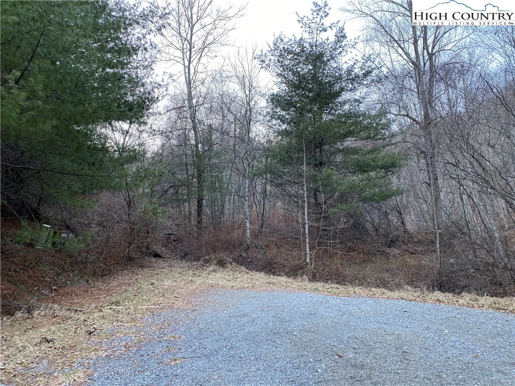 Image number 7 for the current listing