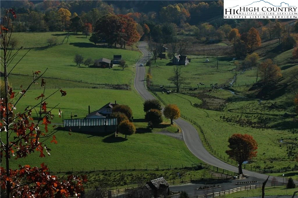Image number 11 for the current listing