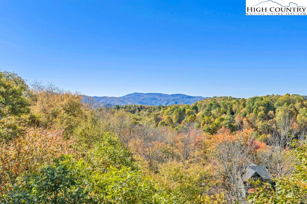 Image number 15 for the current listing