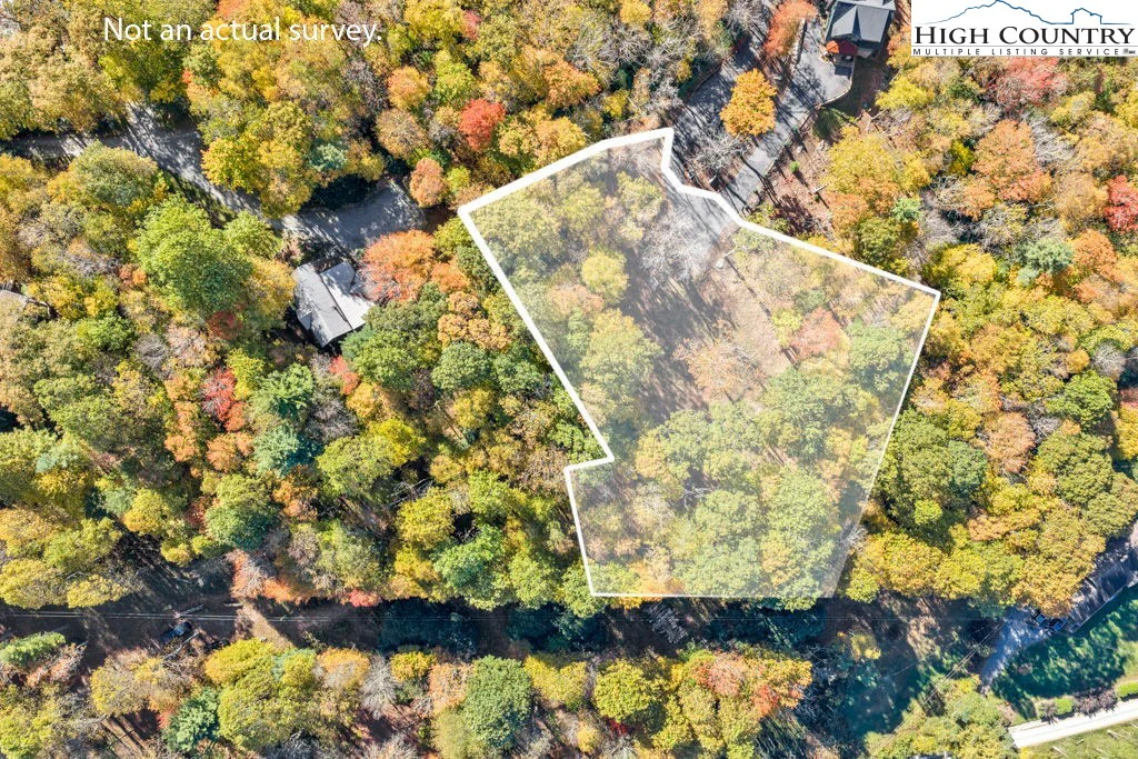 Image number 1 for the current listing