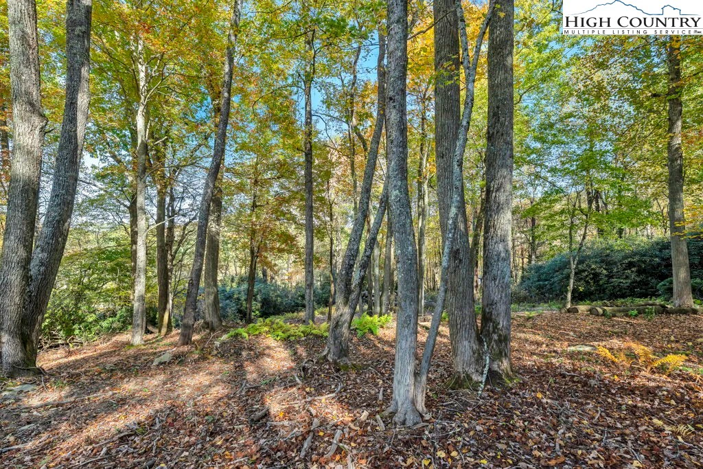 Image number 26 for the current listing