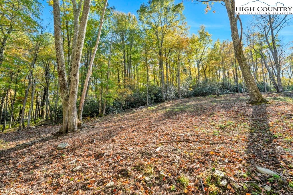 Image number 19 for the current listing