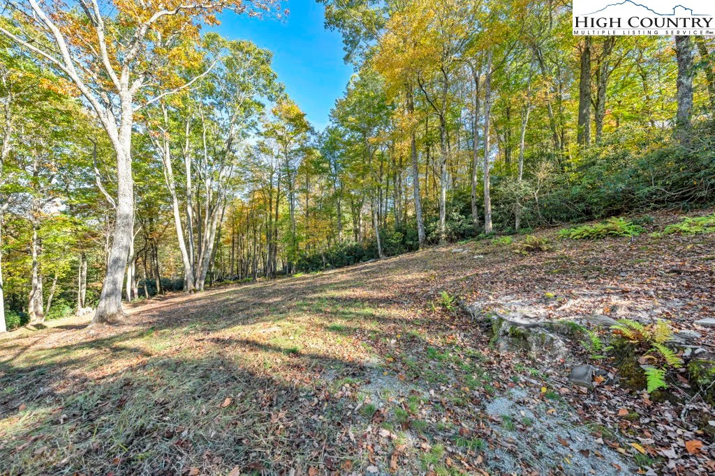 Image number 10 for the current listing