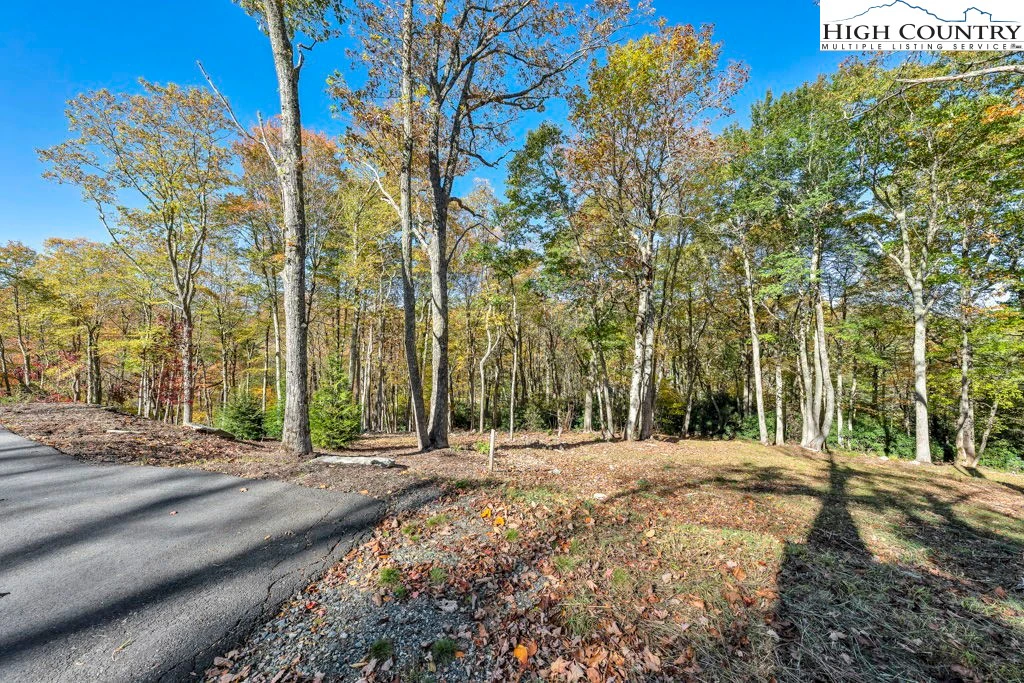 Image number 3 for the current listing