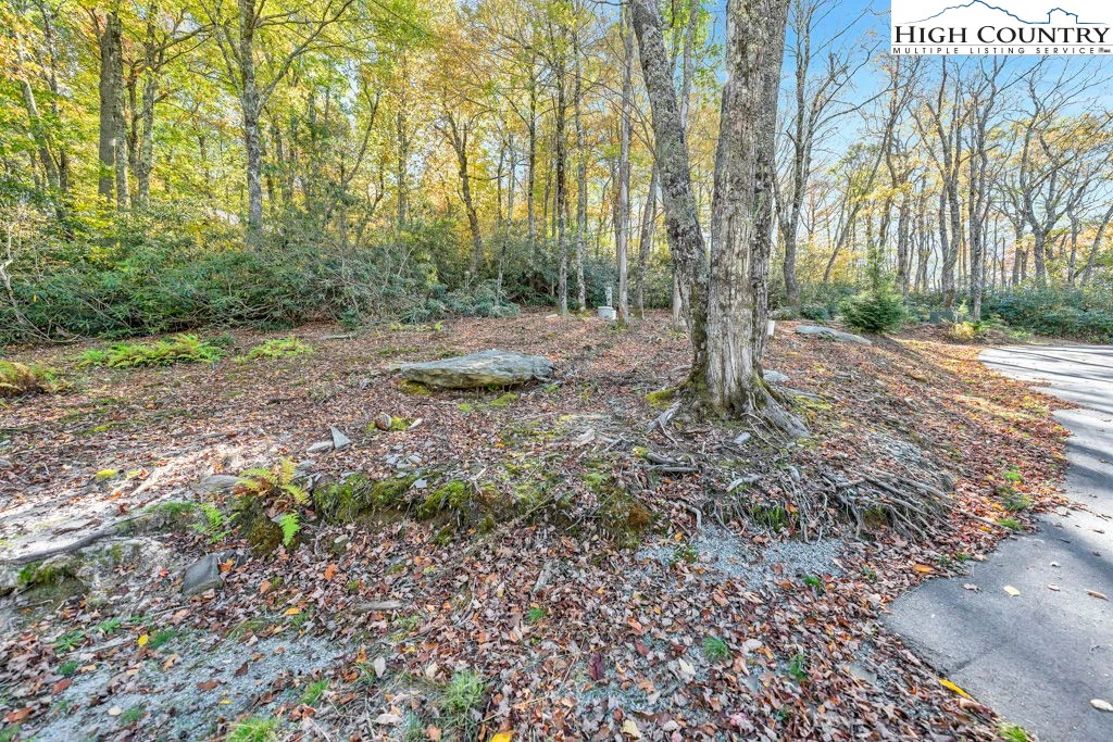 Image number 4 for the current listing