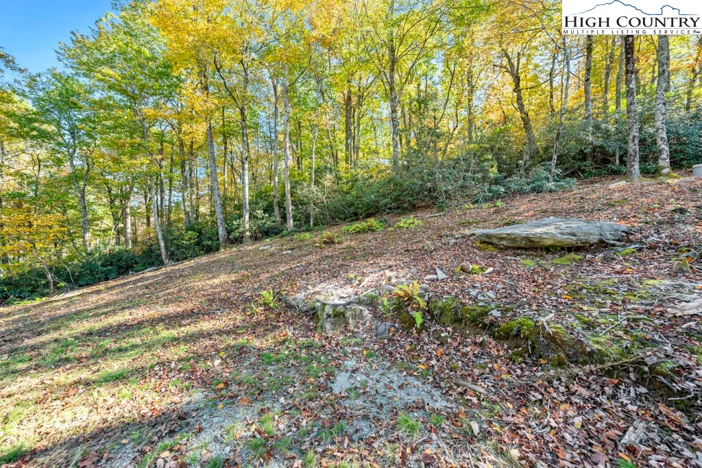 Image number 5 for the current listing
