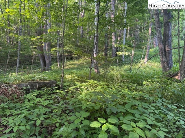 Image number 1 for the current listing