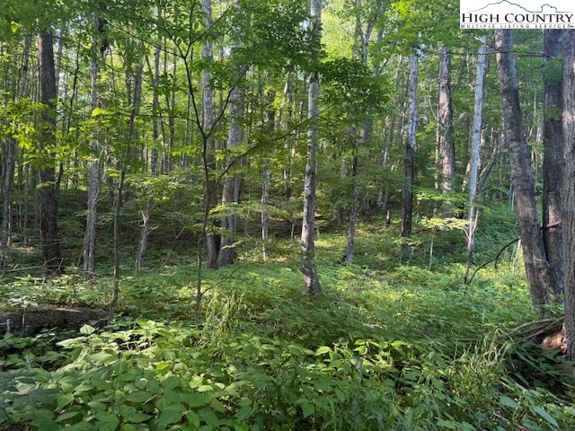 Image number 3 for the current listing