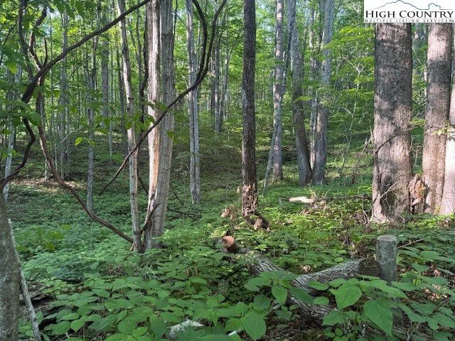 Image number 5 for the current listing