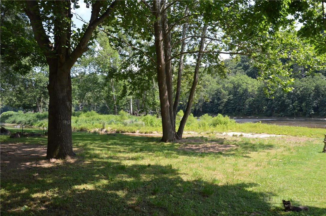 Image number 5 for the current listing