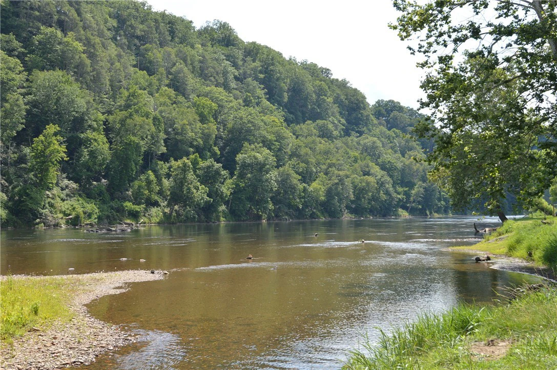 Image number 8 for the current listing