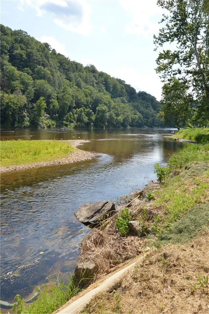 Image number 12 for the current listing