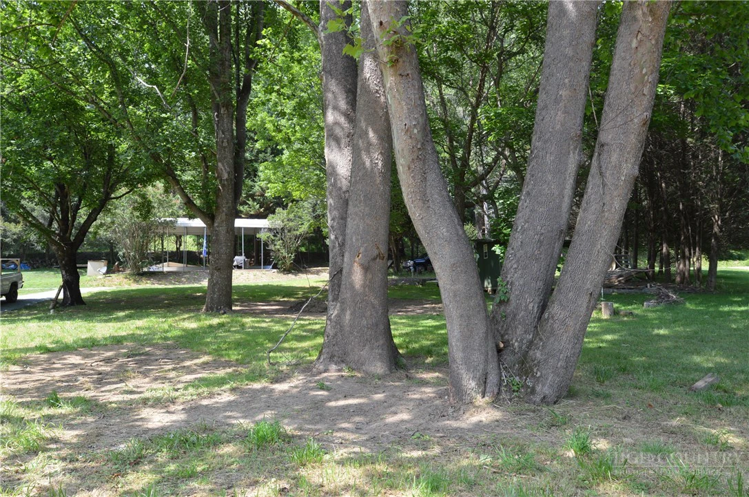 Image number 13 for the current listing