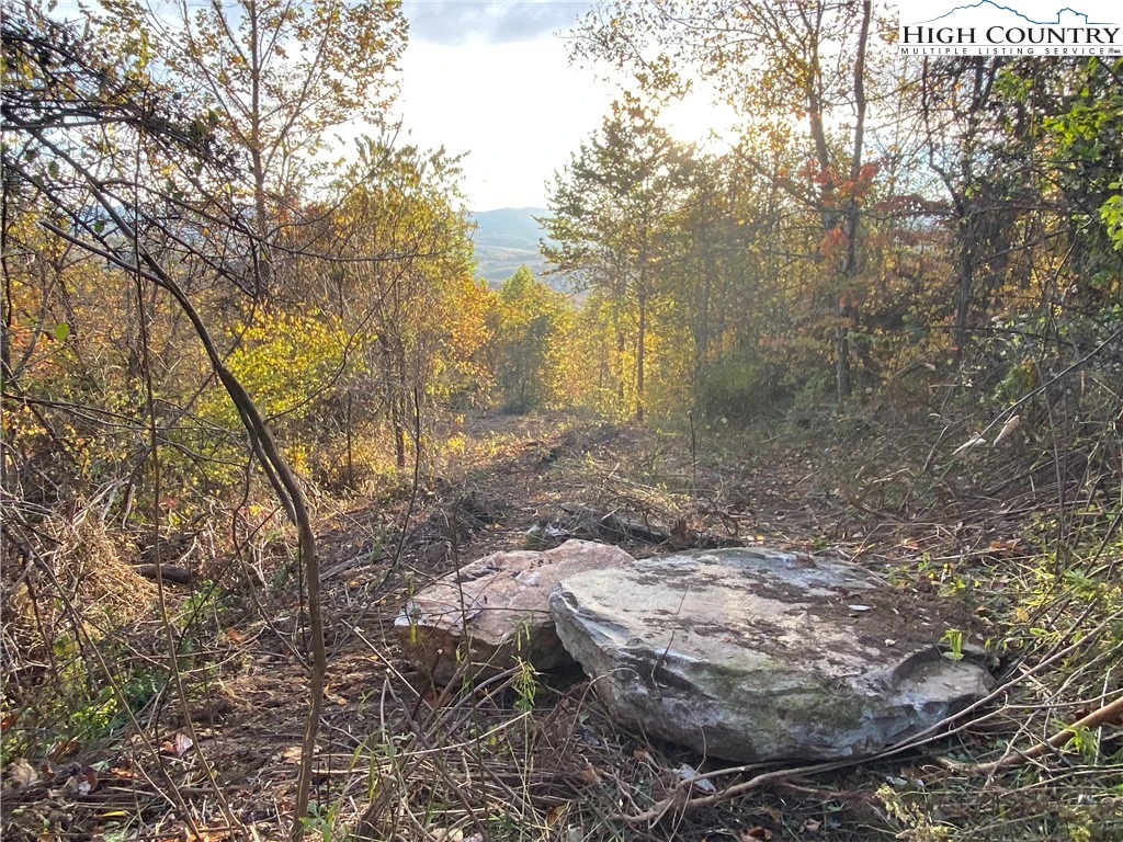 Image number 1 for the current listing