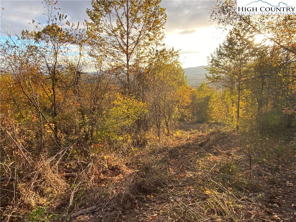 Image number 3 for the current listing