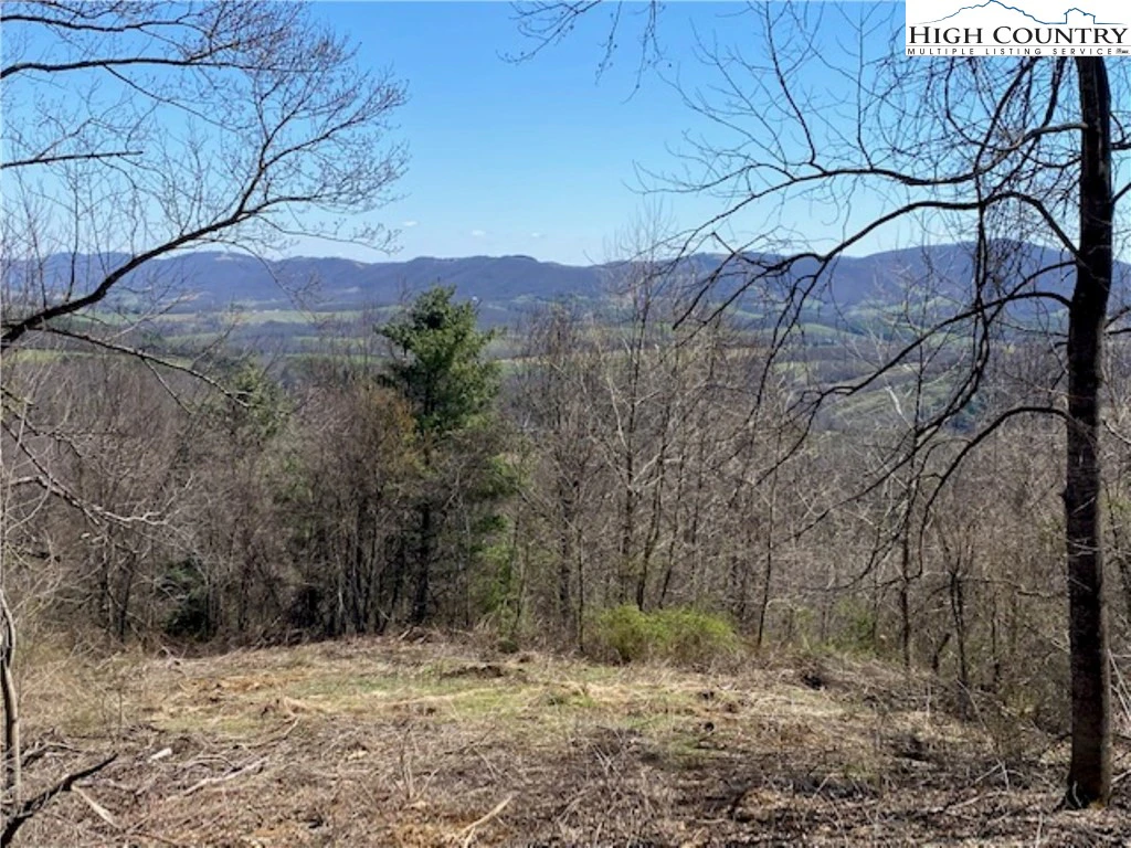 Image number 9 for the current listing