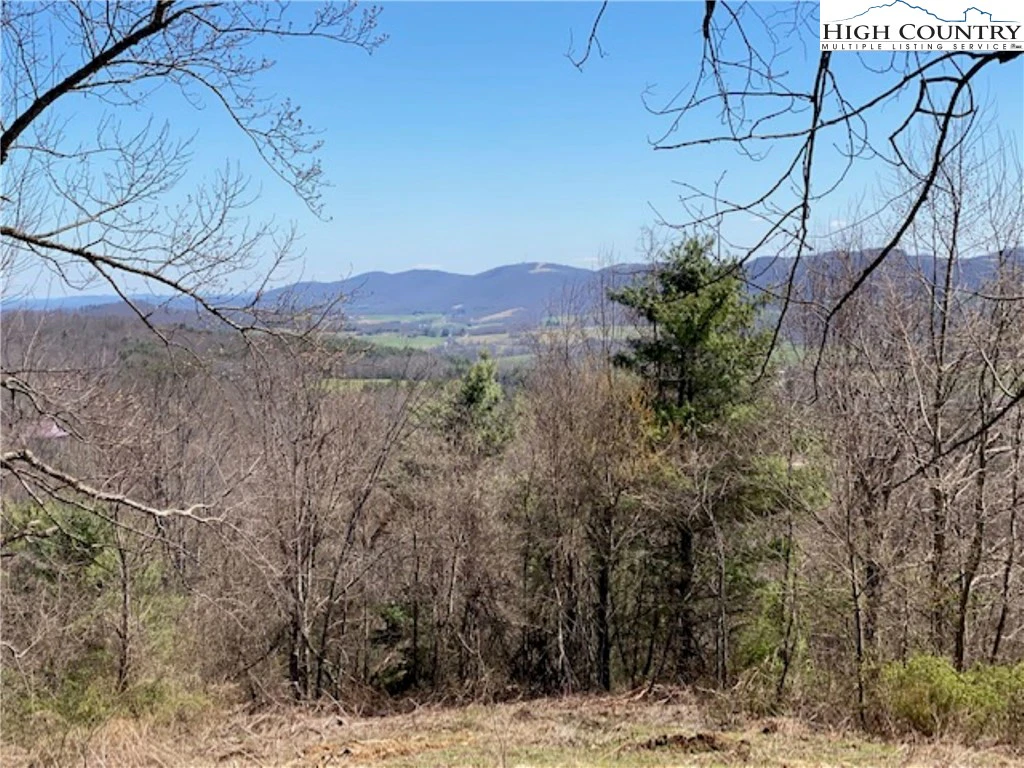 Image number 11 for the current listing