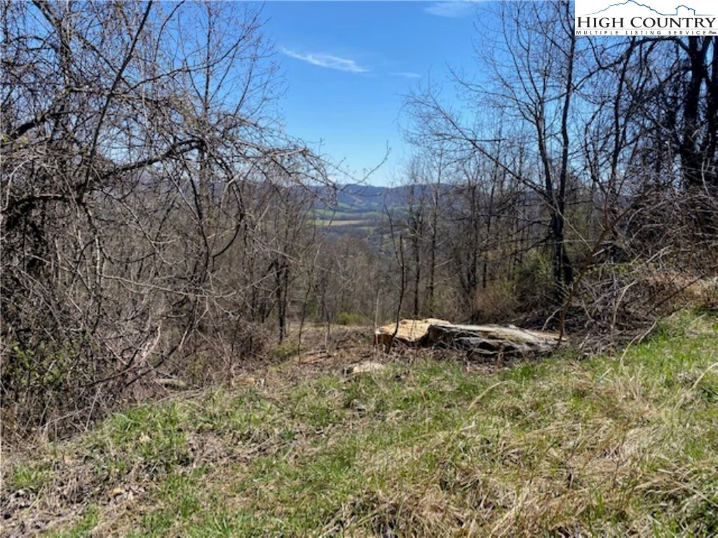 Image number 14 for the current listing