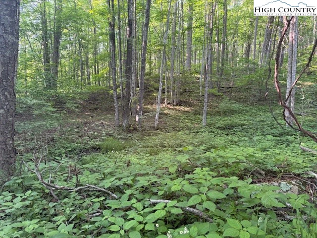 Image number 1 for the current listing