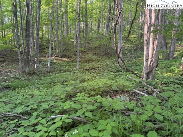 Image number 3 for the current listing