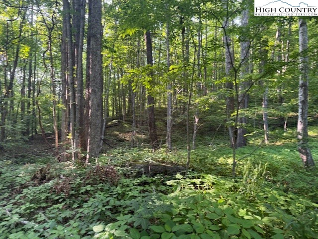 Image number 4 for the current listing