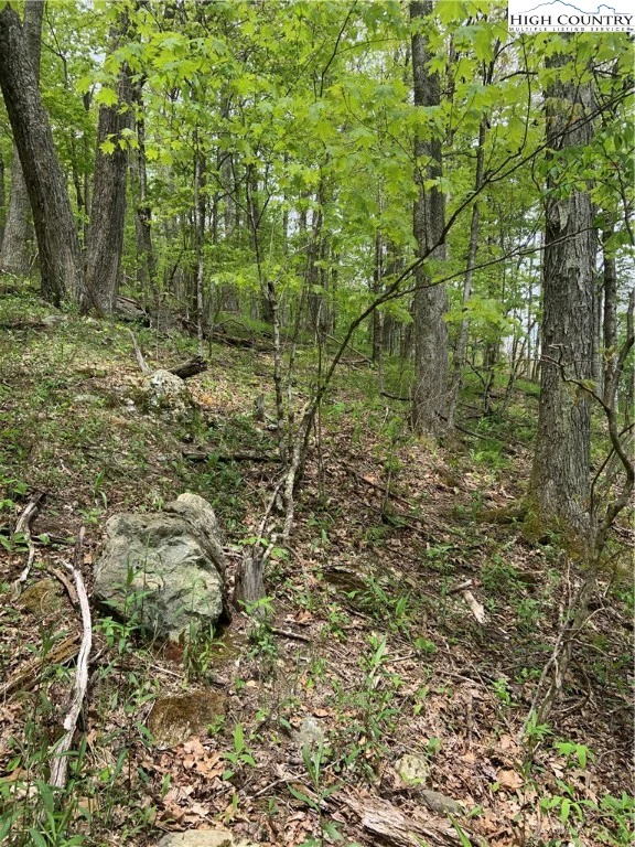 Image number 3 for the current listing
