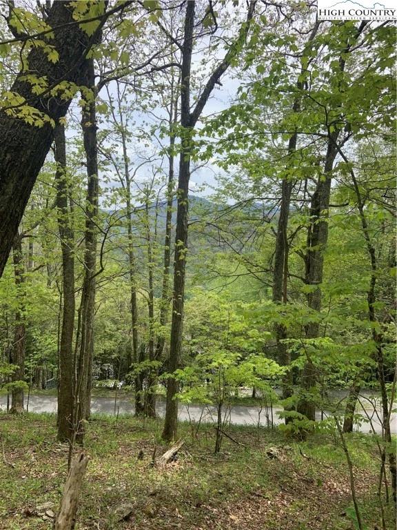 Image number 5 for the current listing