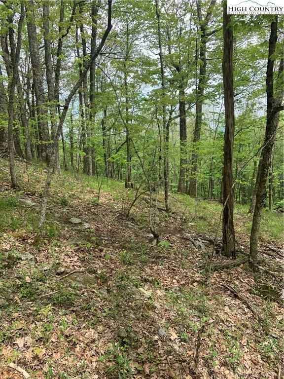 Image number 6 for the current listing