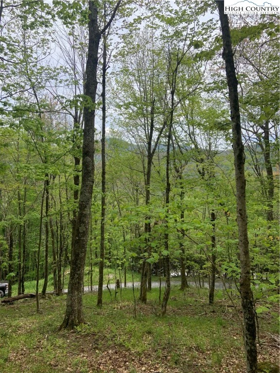 Image number 7 for the current listing