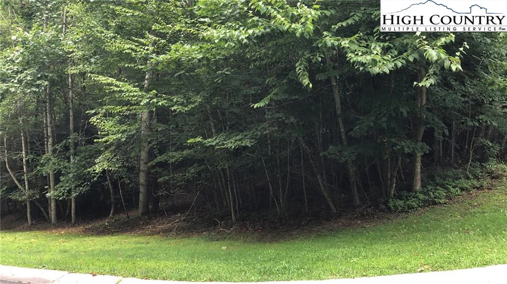 Image number 6 for the current listing