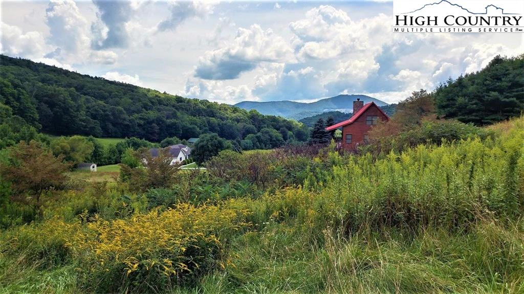 Image number 1 for the current listing